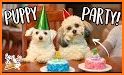 Puppy's Birthday Party related image