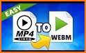 Download Videos Free And Fast Mp4 Easy Guide related image