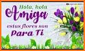 Flores de Amistad related image