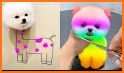 Cute Puppy Pom Keyboard Background related image