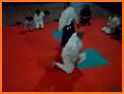 INTERACTIVE KI-AIKIDO TAIGI related image