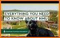 The Hub NMU related image