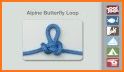 Animated Knots by Grog related image