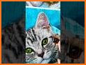 RollMe - Cute Cats Puzzle related image