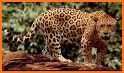 The Secret Animal World related image