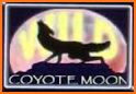 Coyote Moon Slot Machine related image