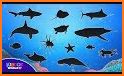 FISH sea animal puzzle games related image