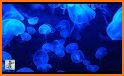 Jelly Fish related image