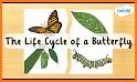 Butterfly Kidz: Tools 4 Life related image