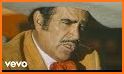 Vicente Fernandez - Canciones related image