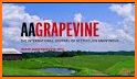 AA Grapevine related image