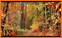 Autumn Live Wallpaper | Autumn Wallpapers related image