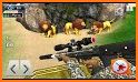 Zoo Animals Transport Simulation: Animal Hunting related image