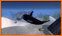 Orca Simulator: Killer Whale Simulator Game related image