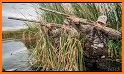 Wild Duck Hunting 2018 related image