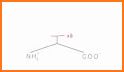 Amino Acid Quiz related image