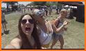 BottleRock 2018 related image