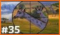 DEER HUNTER CLASSIC related image