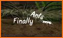 Finally Ants related image