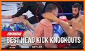 Knockout Kingdom related image