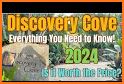 Discovery Cove related image