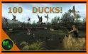 Duck Hunt Classic related image