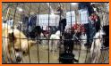 Phoenix Pet Expo related image