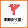 Woodpecker - Language Learning related image