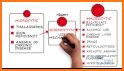 Anemia Algorithm related image