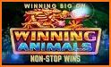 Animal Casino Slots related image