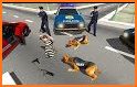 Crime Police Dog Chase Simulator related image