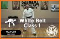 Learn Karate - Video Training Technical Classes related image