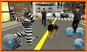 Police Dog Chase Simulator related image