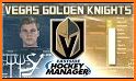 Hockey Manager related image