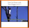 TreeHugger related image