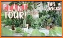 Houseplants related image