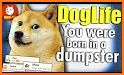 DogLife: BitLife Dogs related image