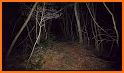 Dark Forest related image