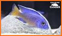 fish growing & feeding Fish Guide and tips related image