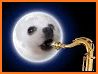 Dog Wallpaper Cute Halloween Shiba Theme related image