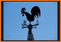 Wind Vane related image