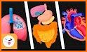 Human Body Parts - Kids Learning related image