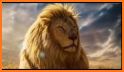 Lion Wallpaper 🦁 related image