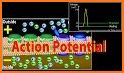 Action Potentials related image