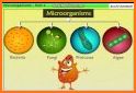 World of Microbes related image