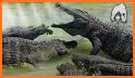 Crocodile Animal Games related image