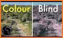 Color Blind: The Game related image