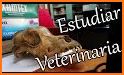 Biblioteca Veterinaria related image