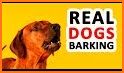 Dog Barking Sounds and Noises related image