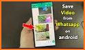 Save Video Status for WhatsApp related image